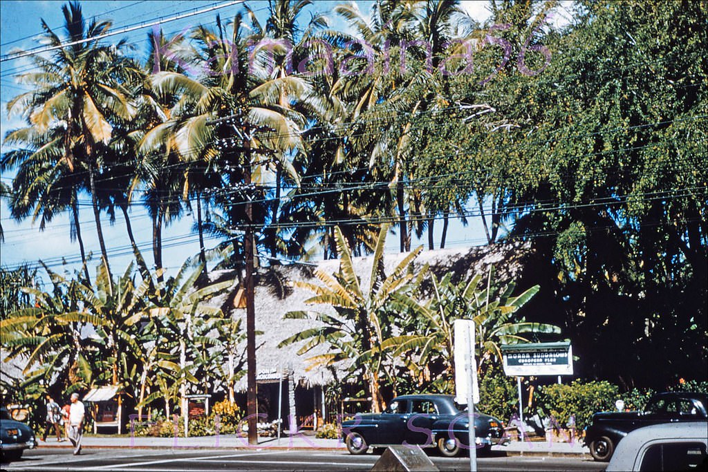 Don the Beachcomber’s restaurant and nightclub right on Kalakaua Avenue next to the Moana Bungalows and across from the Moana Hotel, 1950s