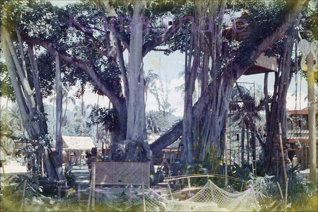 The old International Market Place on Kalakaua Avenue in Waikiki when it was under construction, 1957