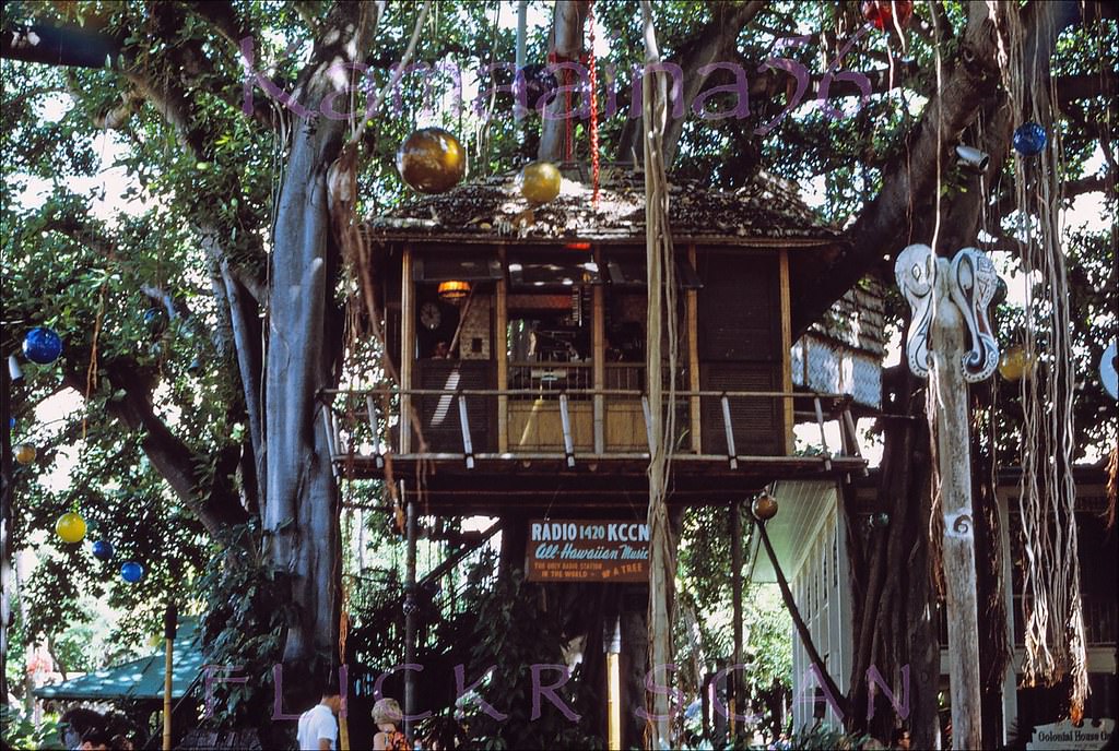 KCCN Treehouse Waikiki, 1968.