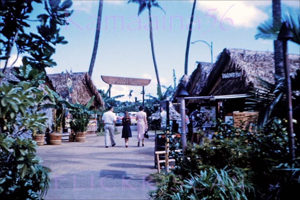 Blurry but still interesting view of the mauka entrance to Waikiki’s International Market Place on the Kuhio Avenue parking lot, 1959