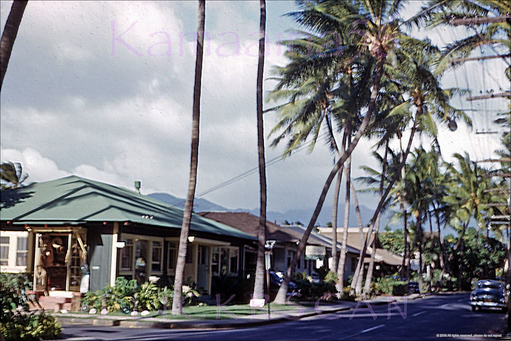 Slightly blurry view inland along Lewers Road’s modest bungalows, back when Waikiki was still a low-rise paradise, 1952