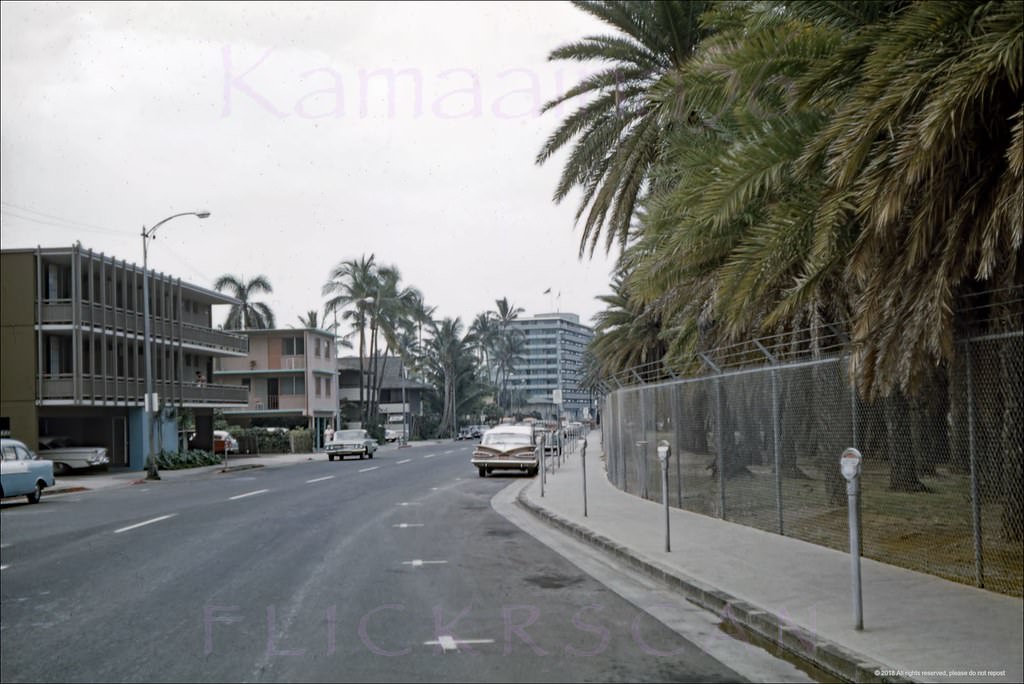 Another view along Waikiki’s Saratoga Road from a slightly different perspective, 1960