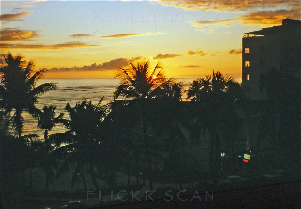 The sun setting below the horizon viewed from the Waikiki Biltmore Hotel through the palms along Kalakaua Avenue, 1961