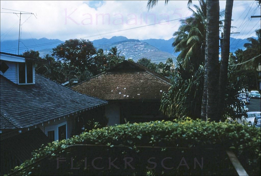 Looking inland from a second story room at the Privateer Hotel on Ohua Street, Waikiki, 1958