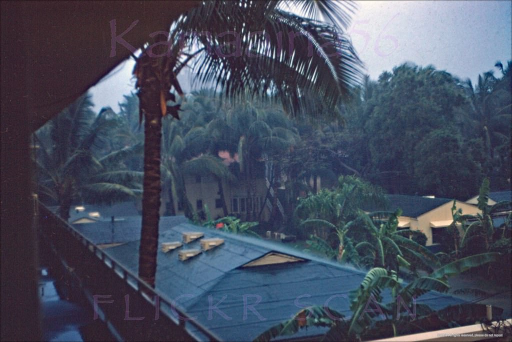 Looking out at Waikiki from an upper floor at the Hotelier Roy Kelley Islander Hotel on the Diamond Head side of Seaside Avenue, 1955