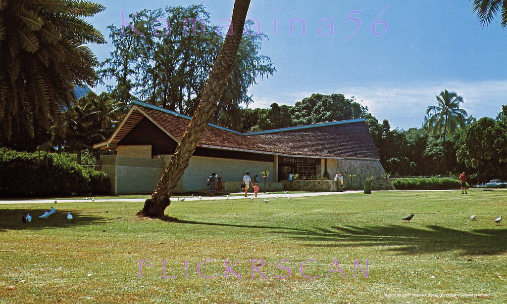 Honolulu Zoo between Kapahulu and Monsarrat Avenues on the eastside of Waikiki, 1960