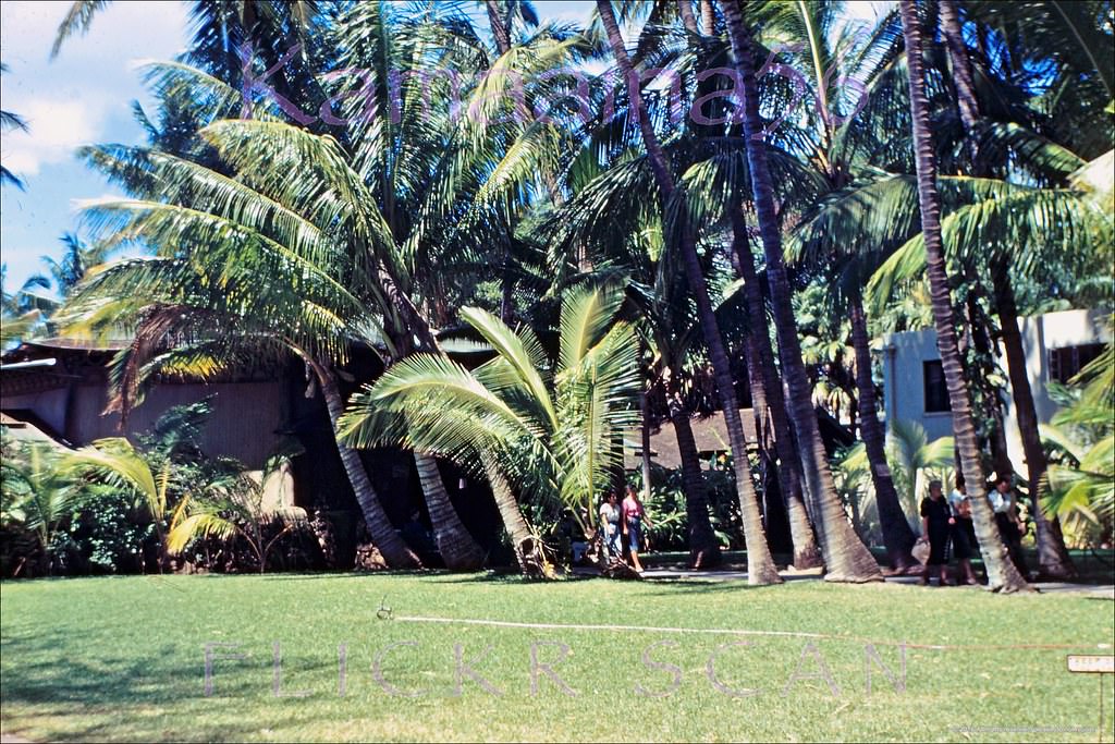 Old Waikiki Aquarium, 1949.