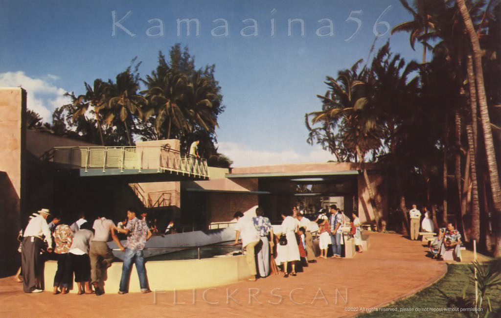 Looks like this photo is from around the opening of the current building, 1950s