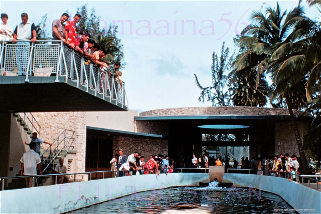 The Waikiki Aquarium, on the shoreline of Kapiolani Park next to Diamond Head, 1955