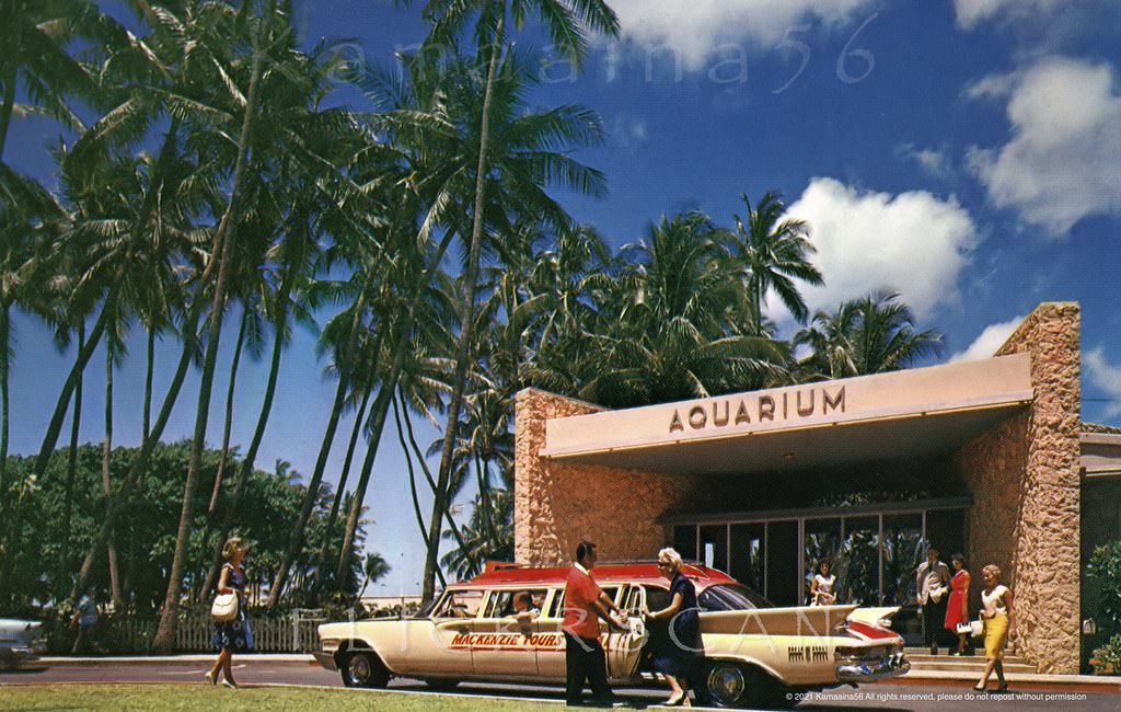 Mackenzie Tours stretch at the Waikiki Aquarium, across from Kapiolani Park on the south shore, 1960s