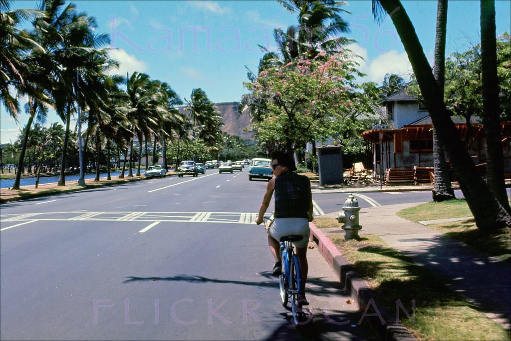 Ala Wai Diamond Head, 1963.