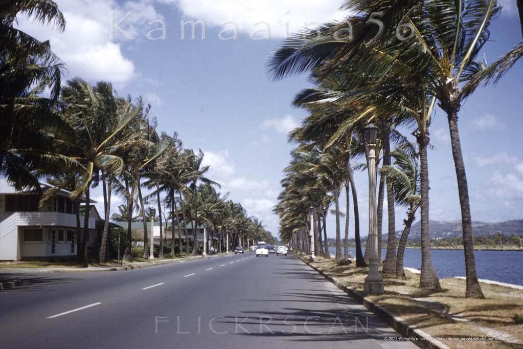 Ala Wai Blvd is one of Waikiki’s two east-west thoroughfares, the other being Kalakaua Avenue, 1952