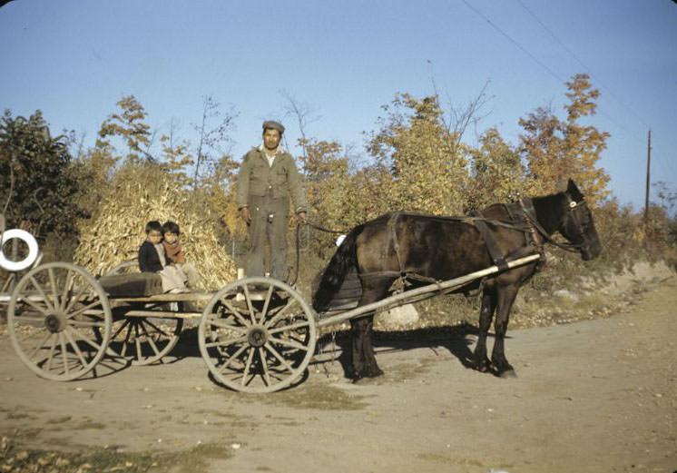 Family and wagon, Bethany Indian Mission, Wittenberg, Wisconsin, 1953