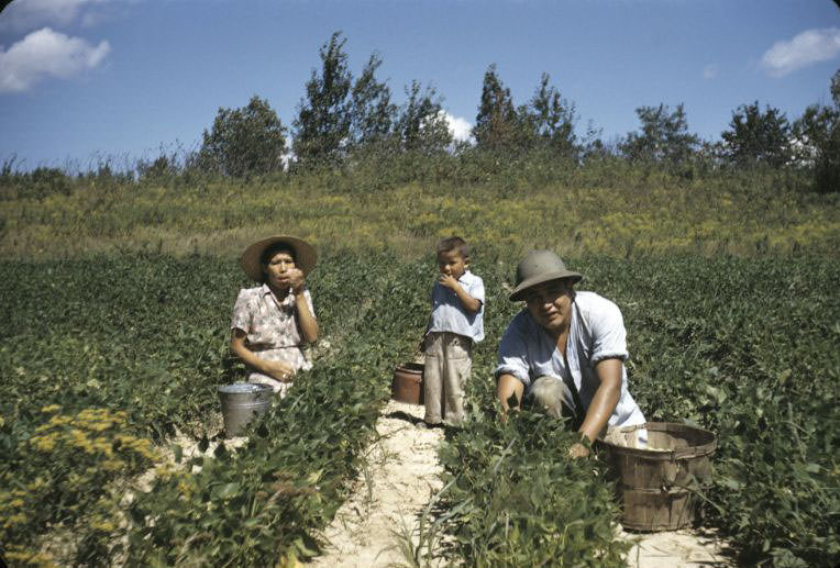 In the field, Bethany Indian Mission, Wittenberg, Wisconsin, 1953