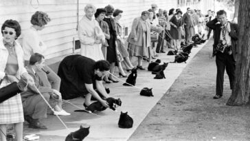 Black Cat Audition 1961