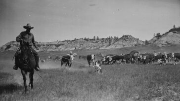 Cowboys of Montana Range 1939