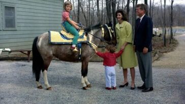 Macaroni Kennedy's Pony