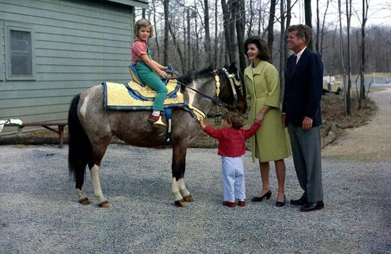 Macaroni Kennedy's Pony