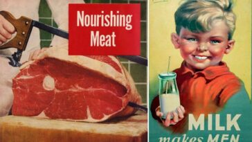 Vintage Food Ads 1940s-1960s