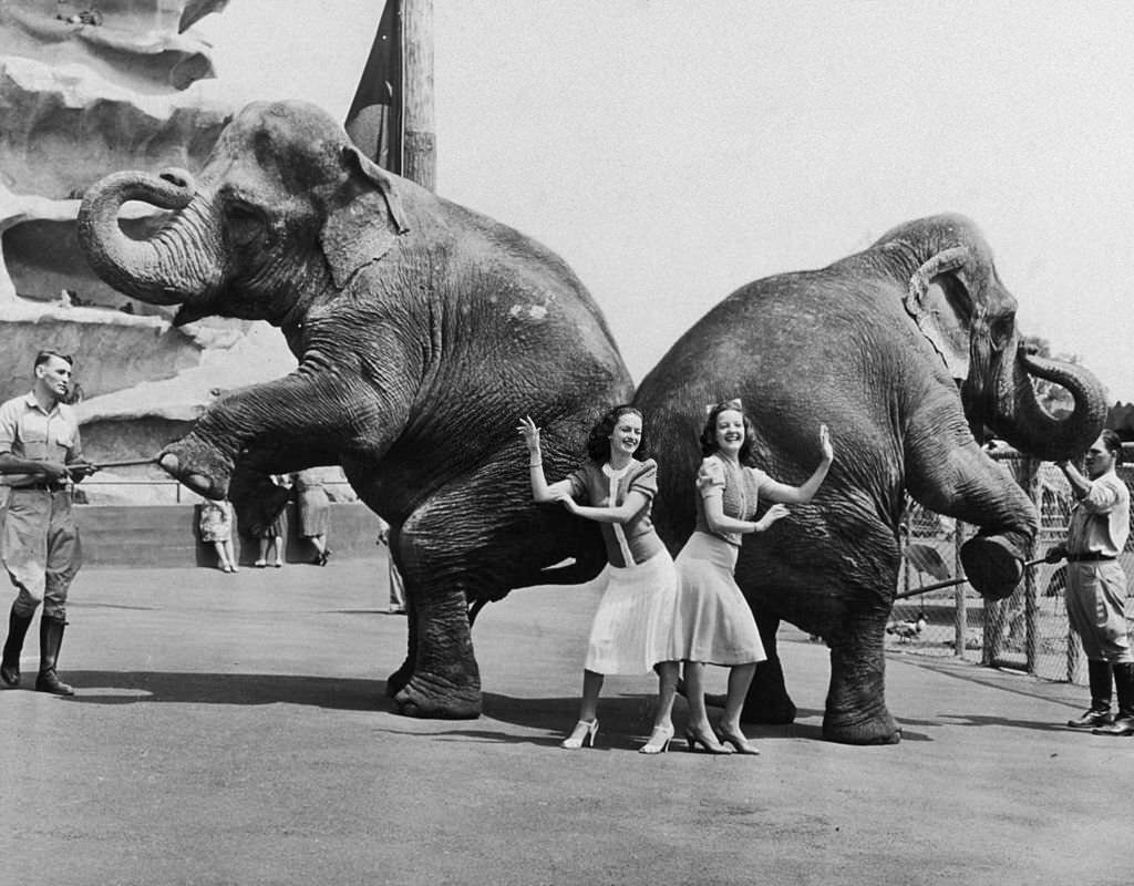 Virginia Stevenson (L) and Rivers Harrison imitate the pose of two of Frank Buch's elephants at the 1939 New York World's Fair in Flushing Meadow Park, Queens, New York City.