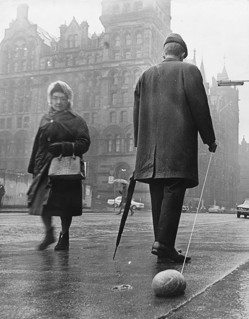 A Glasgow man attracts a puzzled gaze by pulling a haggis behind him on a piece of string on the anniversary of Scots patriot Robert Burns, 1967
