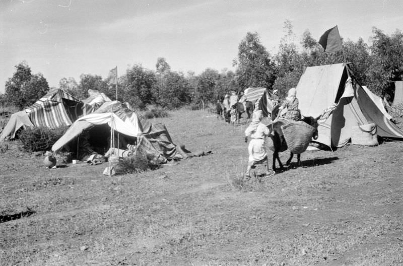 Tents at Berber nomad camp, 1960s