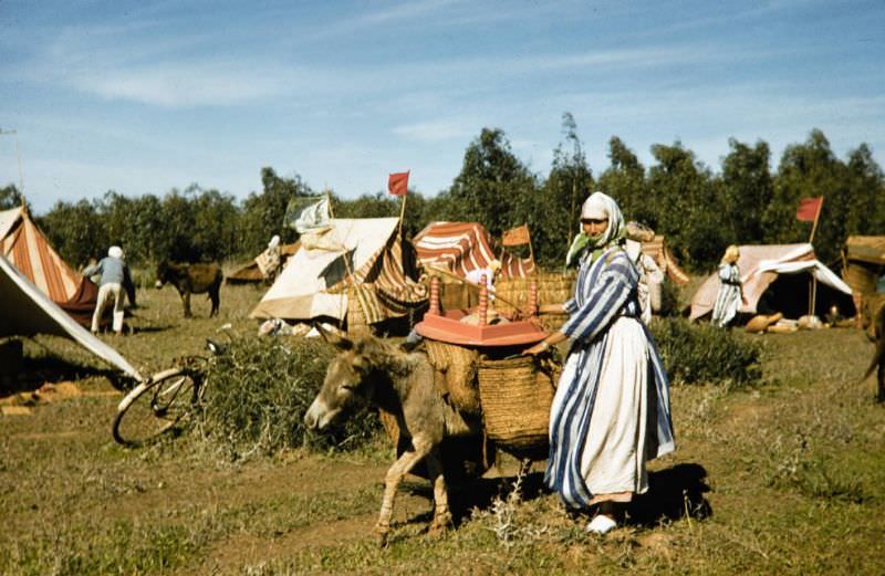 Woman with pack-donkey at Berber camp, 1960s