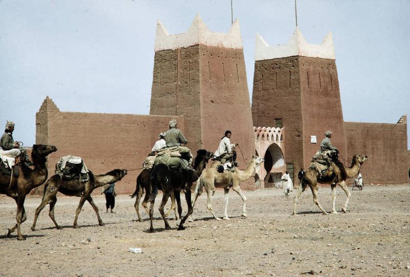 Camel caravan traveling through town, 1960s