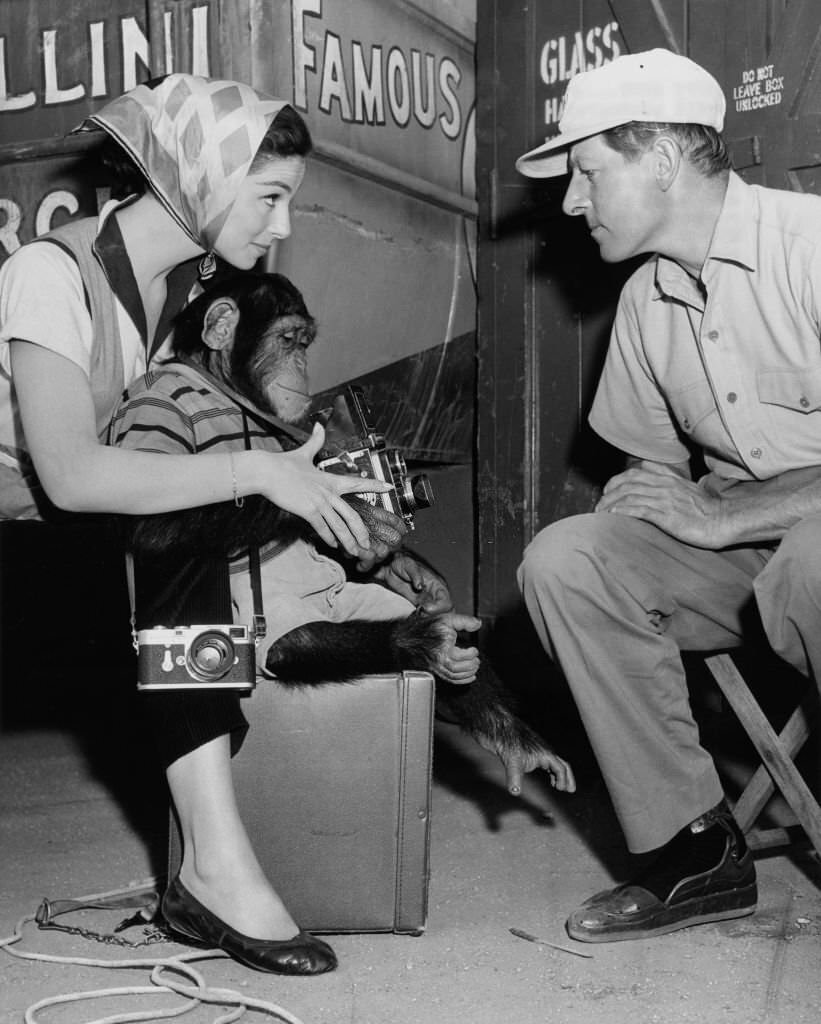 Pier Angeli and Danny Kaye with chimp.