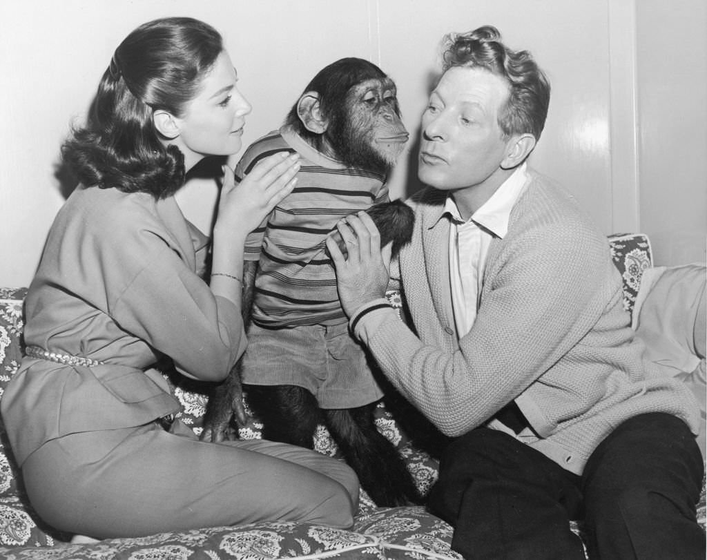 Danny Kaye and actor Pier Angeli with chimp