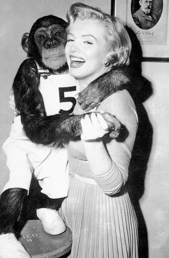 Marilyn Monroe and her chimp so-star in a scene from 'Monkey Business' in 1952.