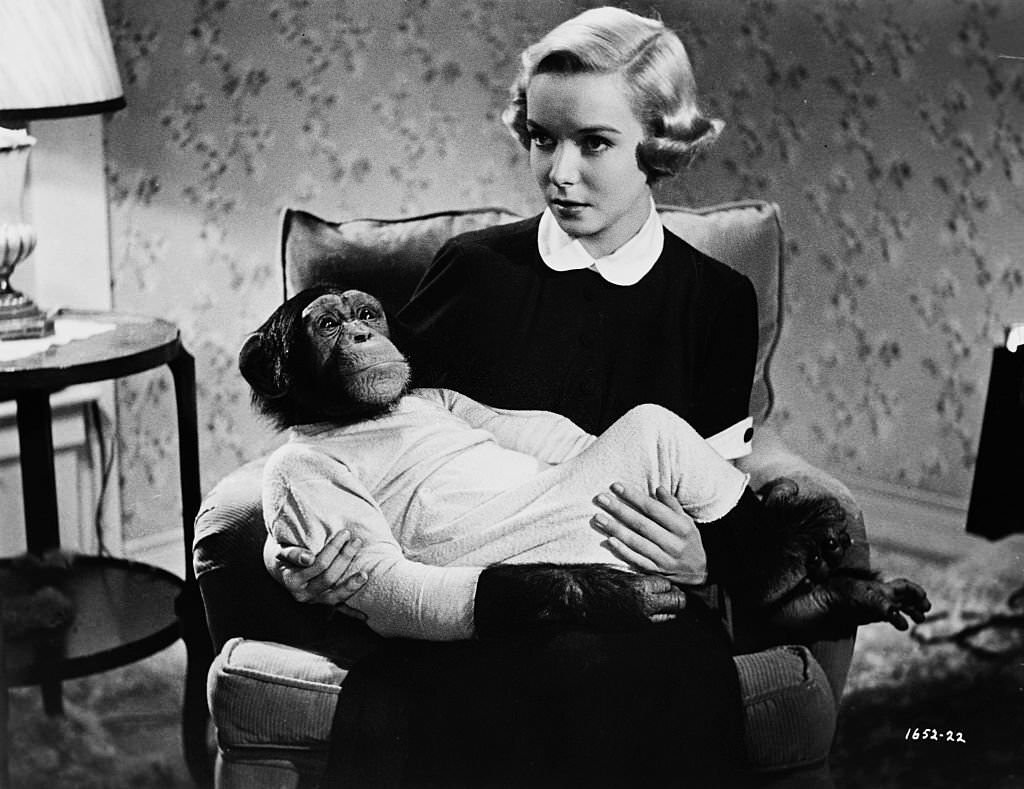 Diana Lynn holds a chimpanzee, 1951