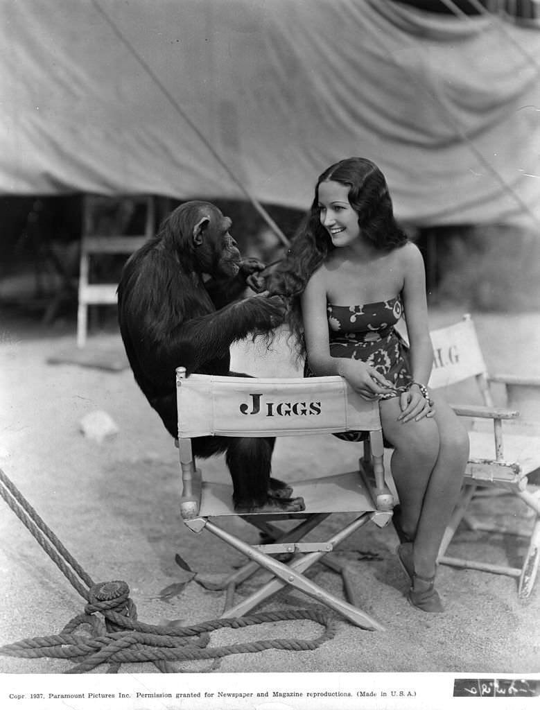 Dorothy Lamour with chimp, 1937