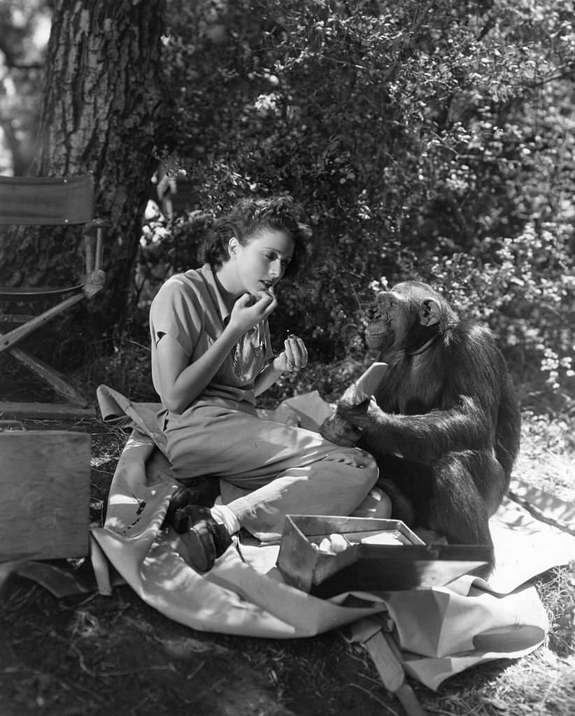 Molly Lamont with Chimp, 1936.