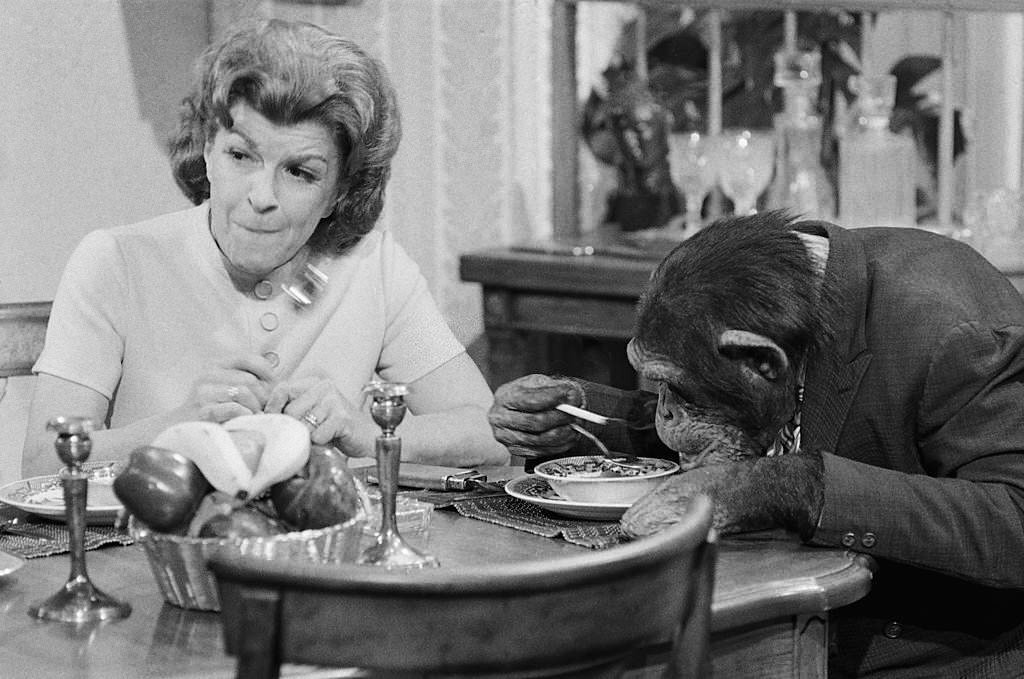 Nancy Walker with chimp
