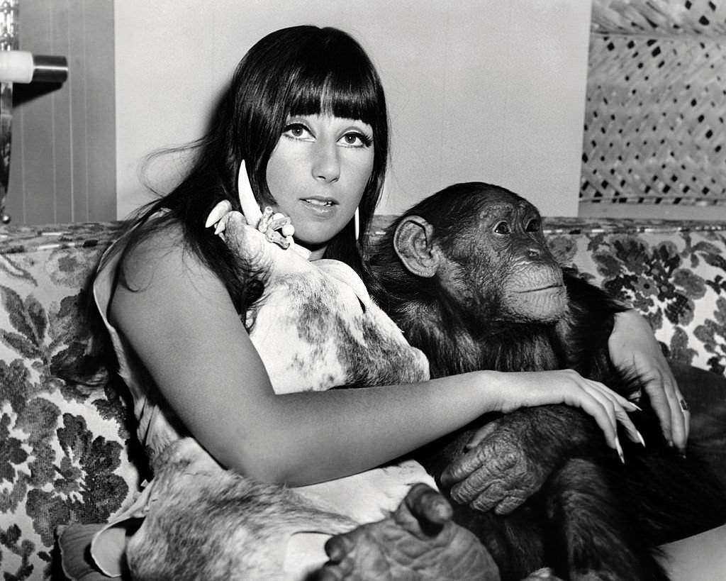Cher with Toto, a baby chimpanzee.