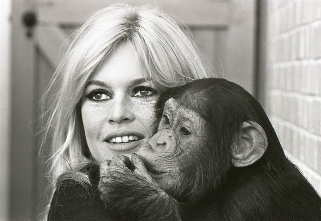 Bardot holding a chimpanzee.