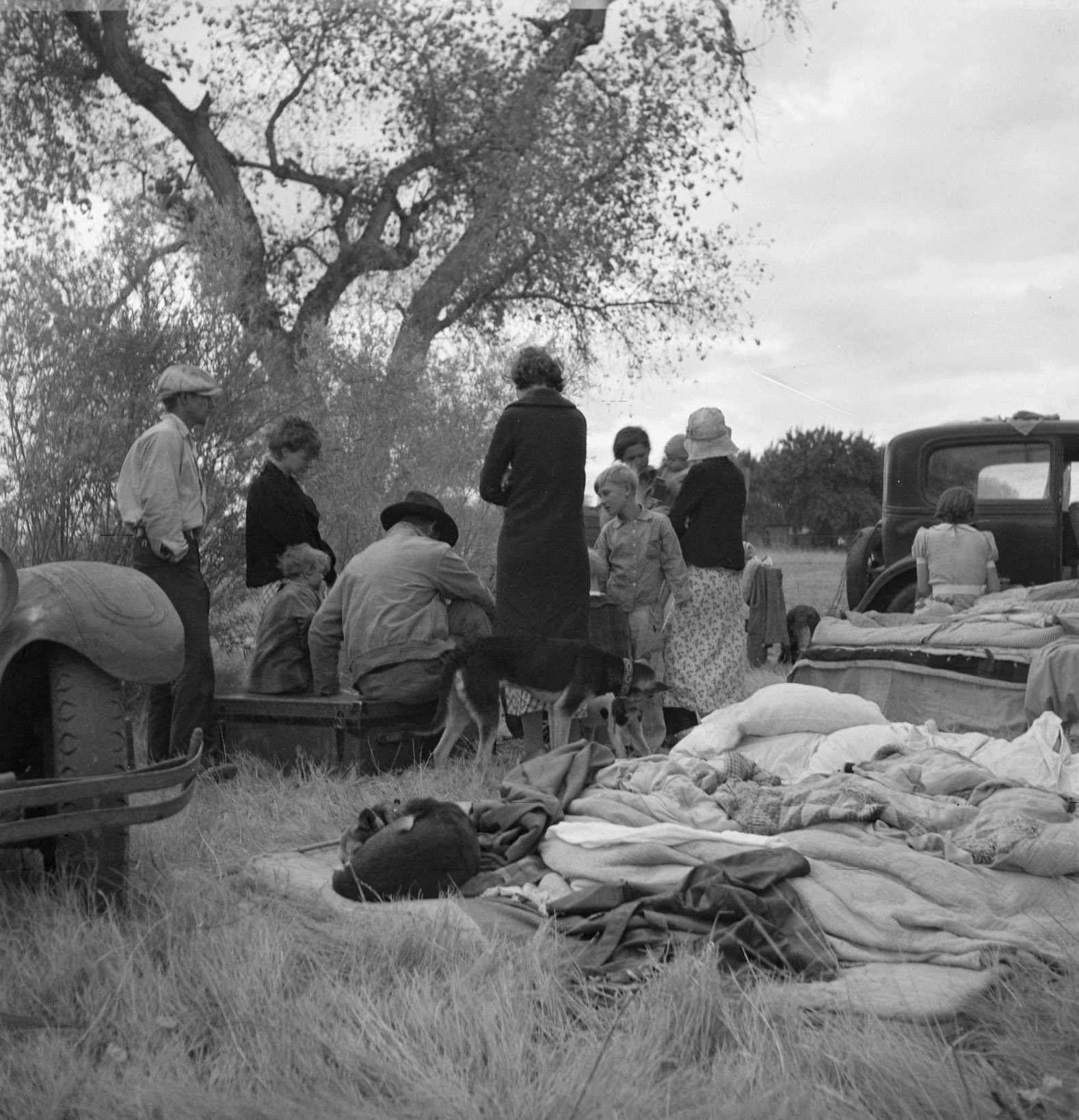 Squatters along highway near Bakersfield, California. Penniless refugees from dust bowl, 1932s