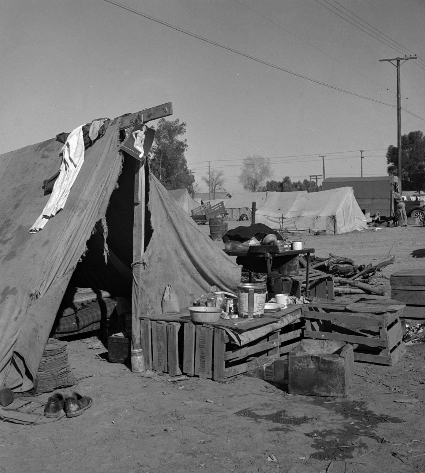 Imperial Valley, California. Migratory labour housing during carrot harvest, 1939