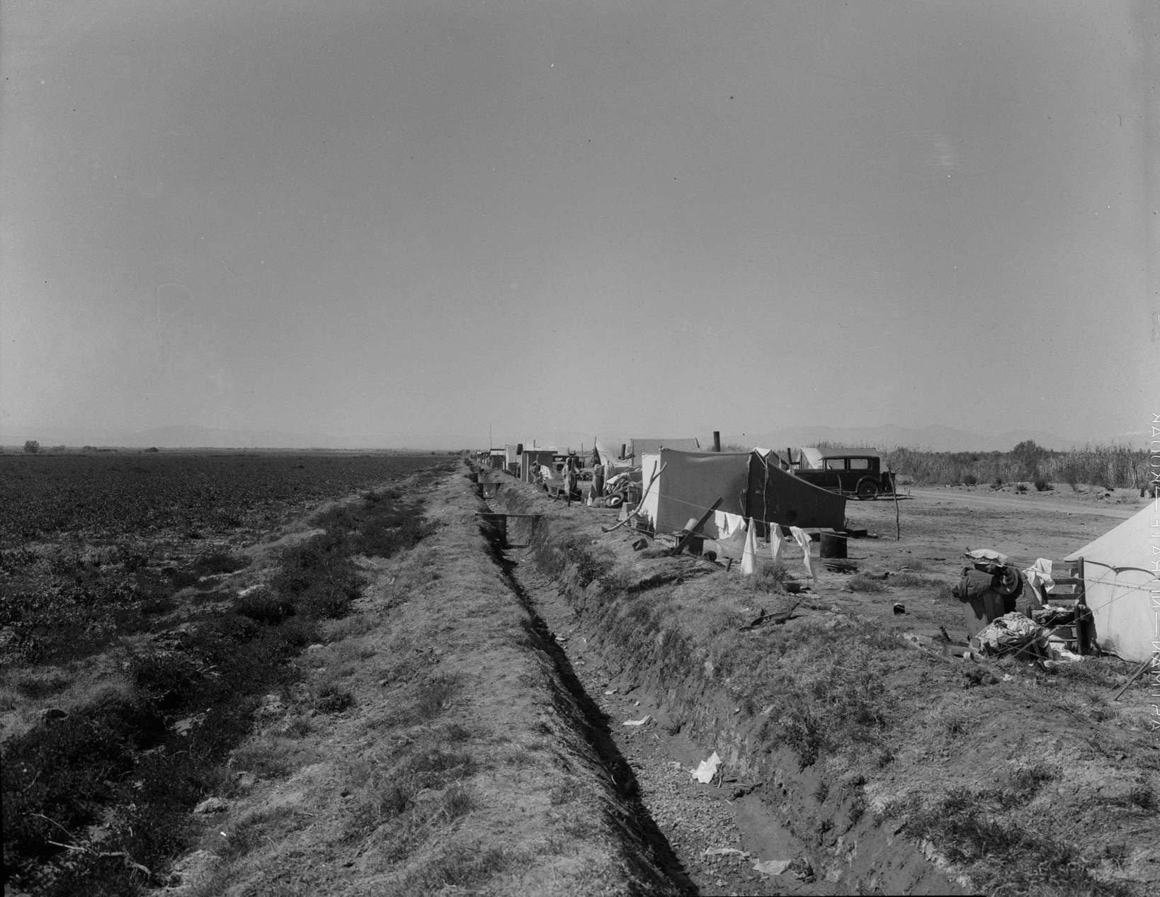 Squatter camp on county road near Calipatria, 1933. Forty families from the dust bowl have been camped here for months on the edge of the pea fields.