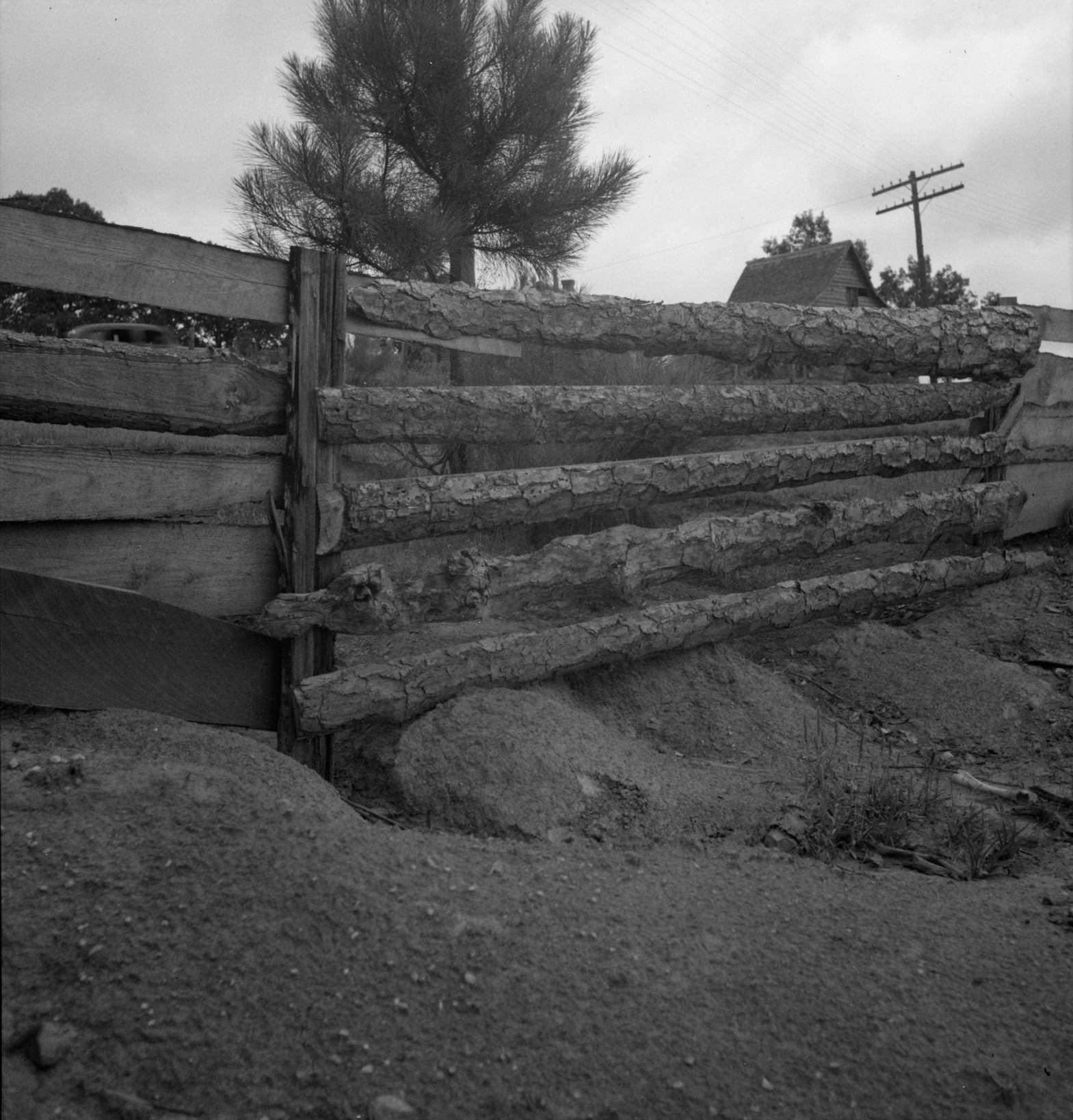 Eroding field and fence. Greene County, Georgia, 1932