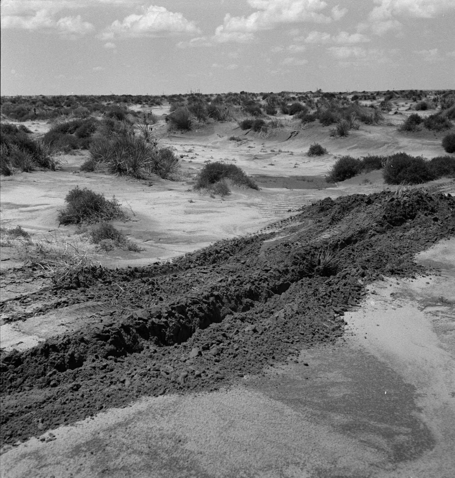 Leveling hummocks in the dust bowl. Coldwater District, thirty miles north of Dalhart, Texas, 1930s