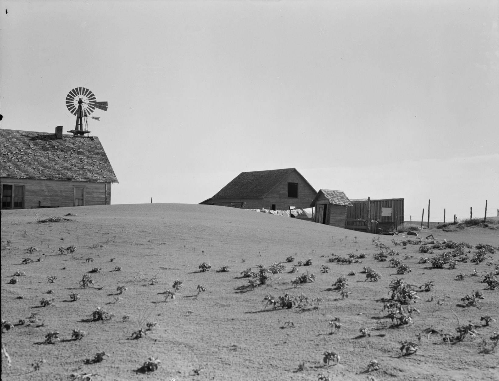 Dust Bowl farm. Coldwater District, near Dalhart, Texas. This farm is occupied. Others in this area have been abandoned.
