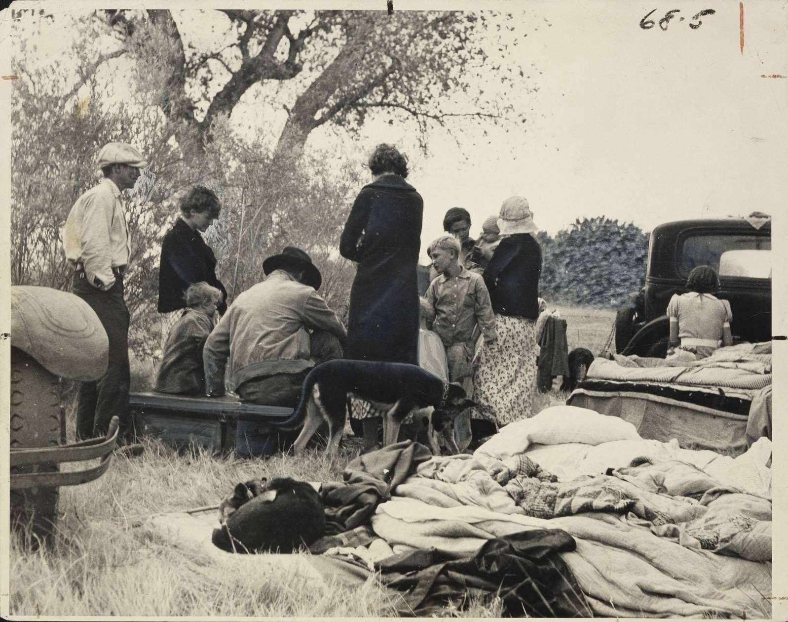 Oklahoma Refugees from the Dust Bowl, Looking for Work on the Cotton Fields, Now Encamped Near Bakersfield, California, 1930s
