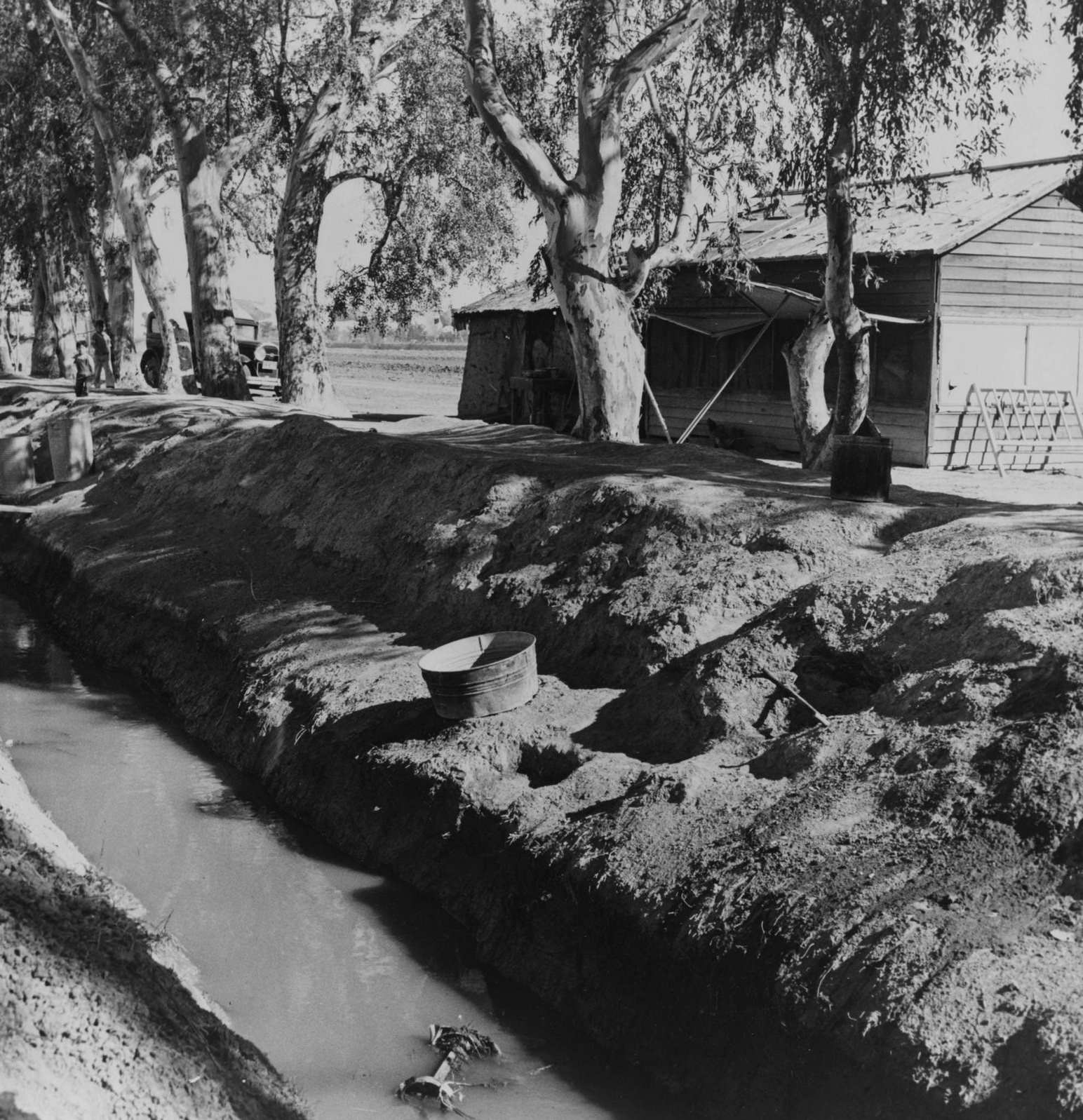Home of Dust Bowl Refugee, Imperial County, California, 1930s