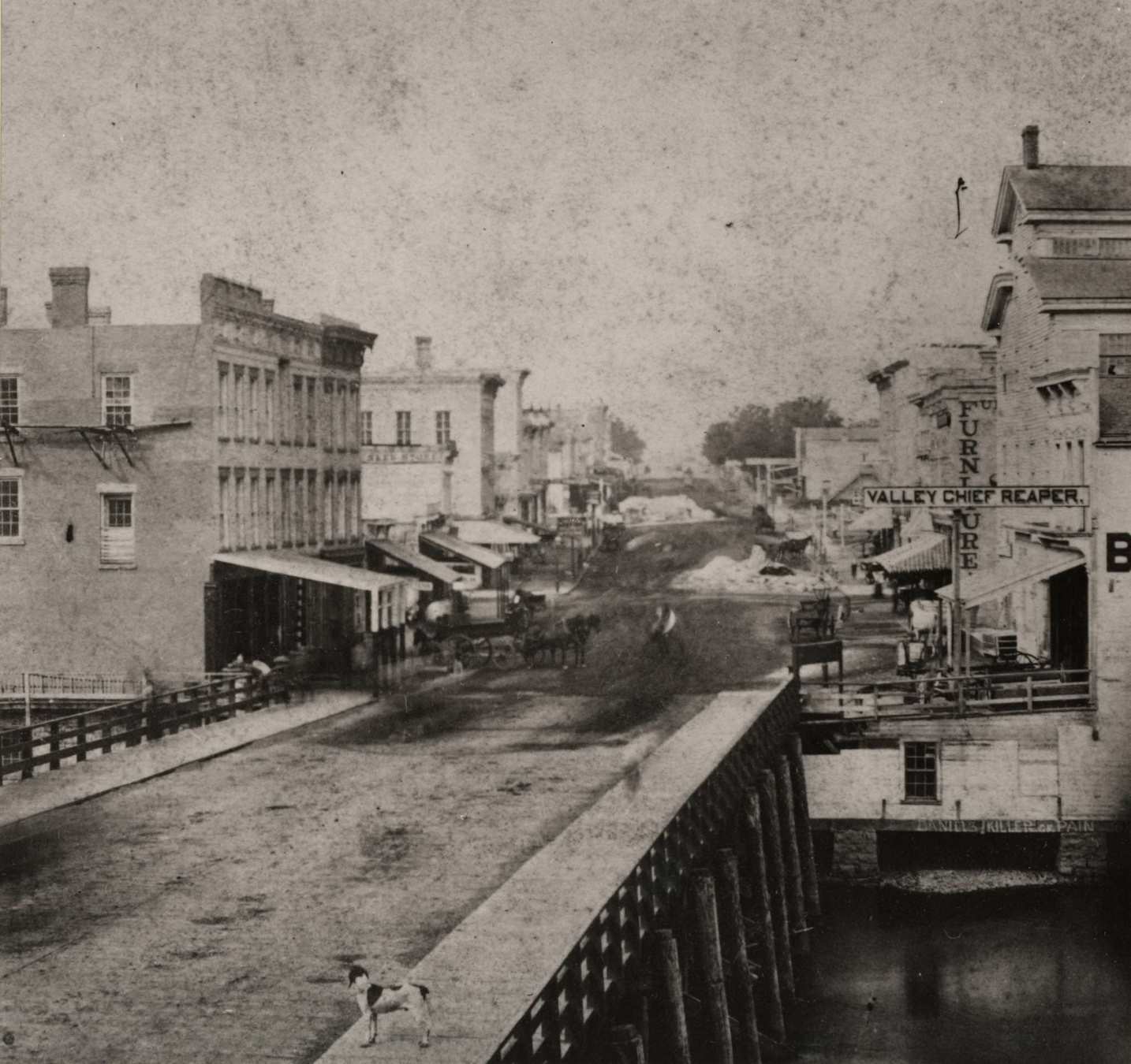 Milwaukee Street looking west with small dog in foreground, Janesville, Wisconsin, 1865.