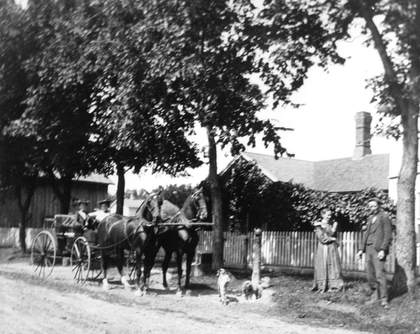 Kate and Ellen Nelson in front of their house with dog and horse-drawn carriage, 1890