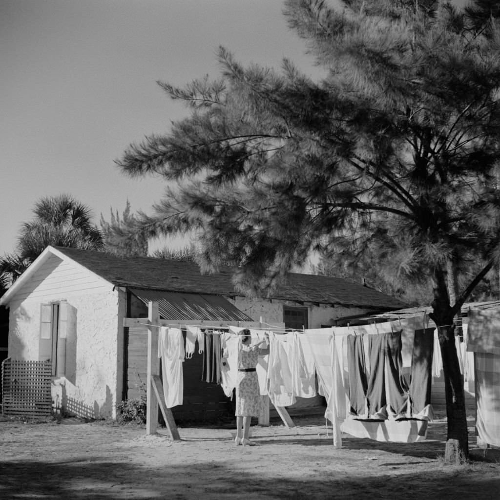 Woman Hanging Clothes on Clothesline, Sarasota Trailer Park, Sarasota, Florida, January 1941