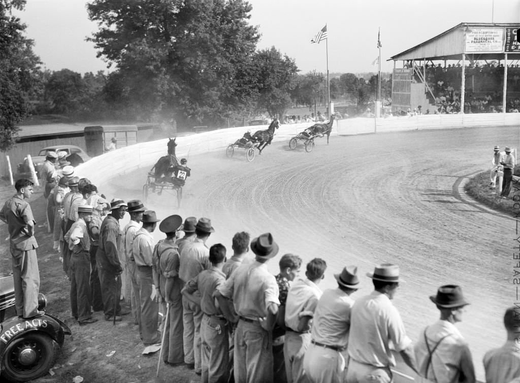 Sulky or Harness Races, Shelby County Fair, Shelbyville, Kentucky, August 1940