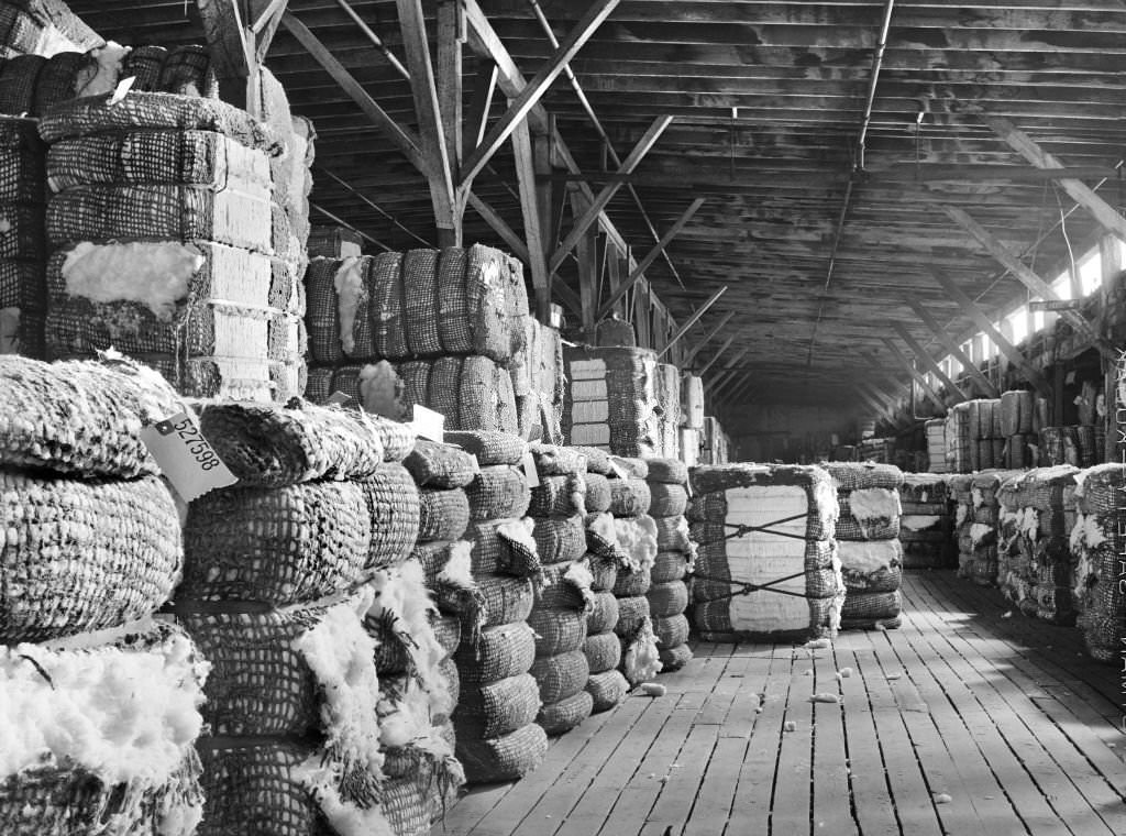 Cotton Warehouse, Memphis, Tennessee, November 1939